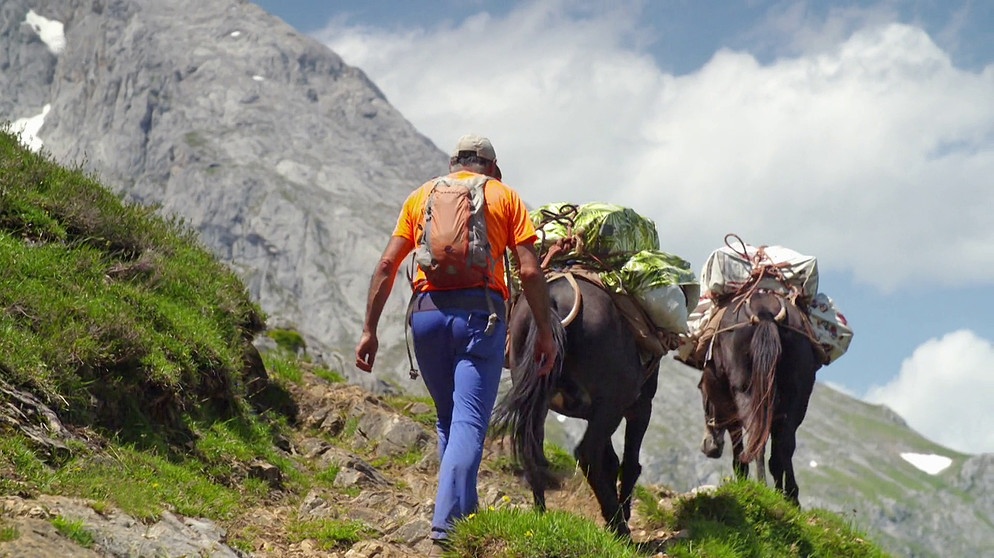 Wanderer mit zwei Packtieren | Bildquelle: BR/Georg Bayerle