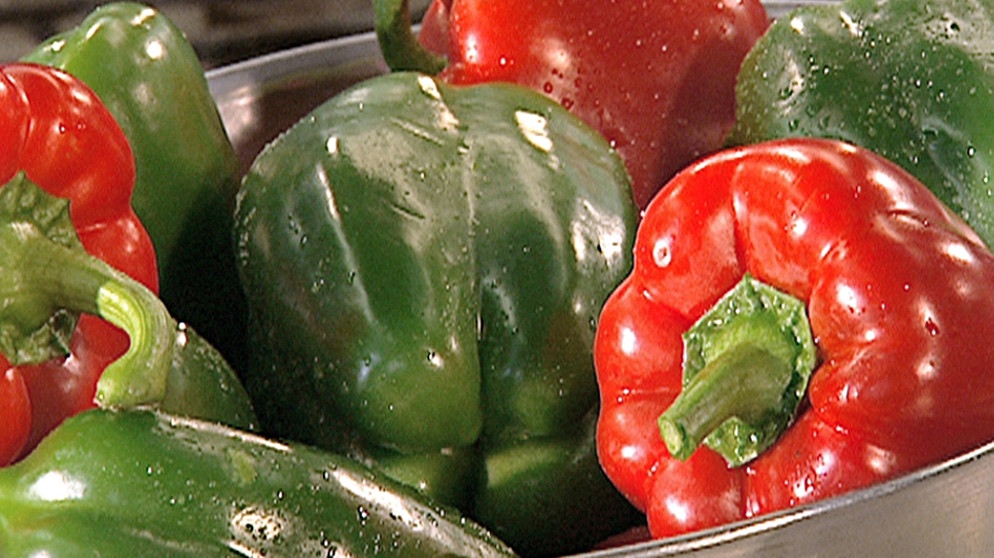 Gurken und Paprika anbauen und ernten. Passend zu diesem Thema das Rezept "Gurken-Paprika-Gemüse mit Kalbsfilet". | Bildquelle: BR/BR
