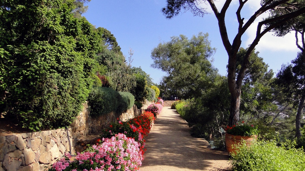 Der Geranienweg vom Botanischen Garten von Calella de Palafrugell am Cap Roig. | Bildquelle: BR