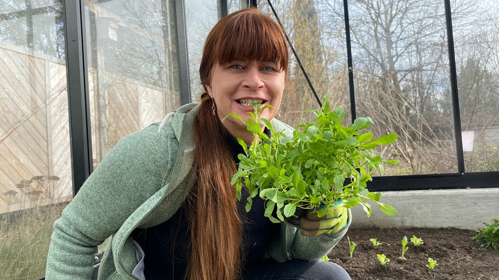 Canna (Blumenrohr) auswintern und Salat pflanzen im Querbeet-Garten mit Sabrina Nitsche | Bildquelle: Julia Schade