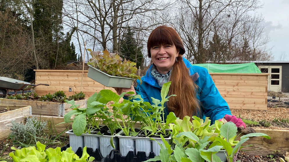Hochbeet befüllen, bepflanzen und abdecken im Querbeet-Garten mit Sabrina Nitsche | Bildquelle: Julia Schade