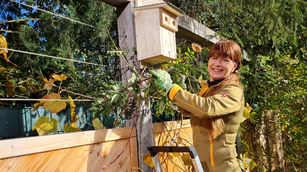 Sabrina Nitsche hängt einen Nistkasten im Querbeet-Garten auf. | Bildquelle: BR / Tobias Bode