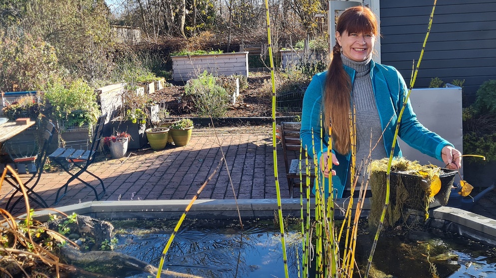 Pflanzen einwintern (Canna und Mini-Seerose) im Querbeet-Garten mit Sabrina Nitsche | Bildquelle: Tobias Bode