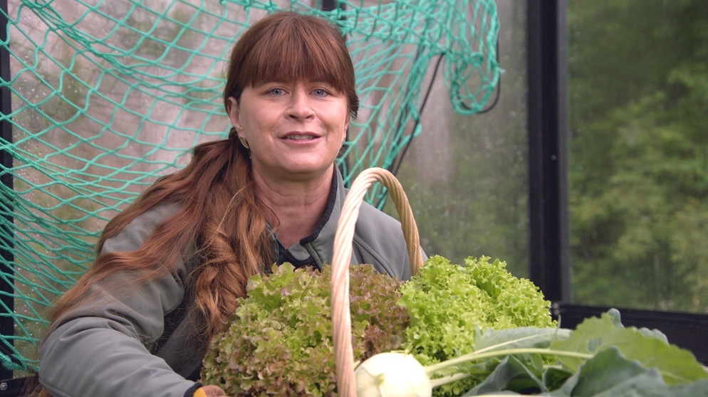 Salat mit Kohlrabi ernten und Susu pflanzen im Querbeet-Garten mit Sabrina Nitsche | Bildquelle: BR / Michael Ackermann