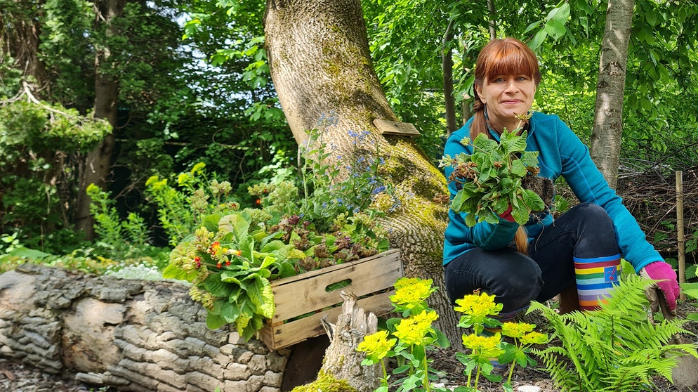 Stauden verpflanzen im Querbeet-Garten mit Sabrina Nitsche | Bildquelle: BR / Michael Ackermann