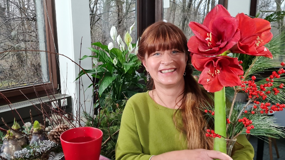 Ritterstern (Amaryllis) mit Sabrina NItsche | Bildquelle: Tobias Bode