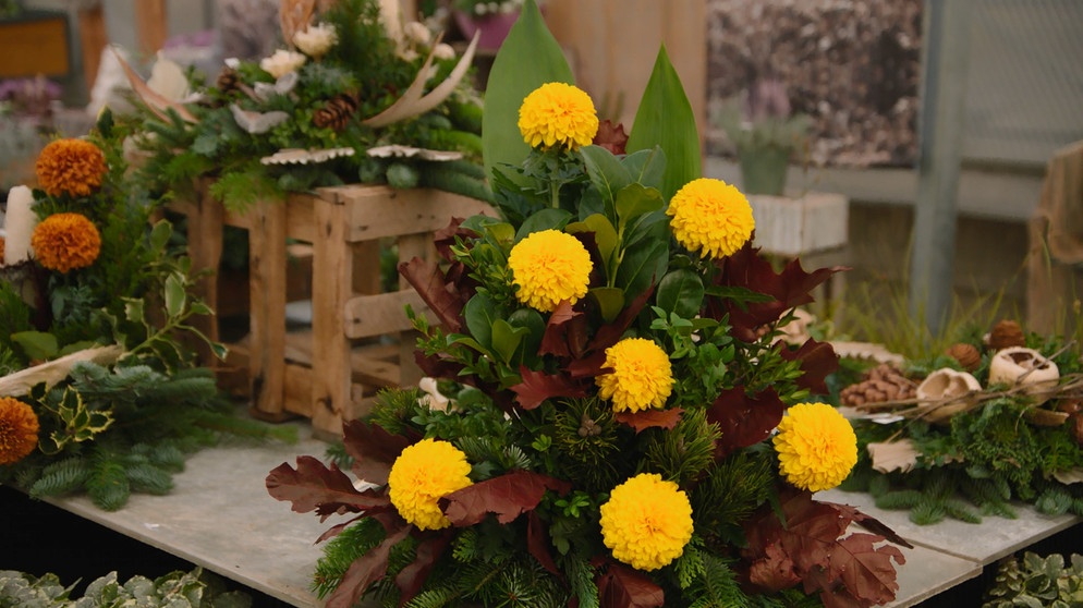 Chrysanthemen Benkert | Bildquelle: BR