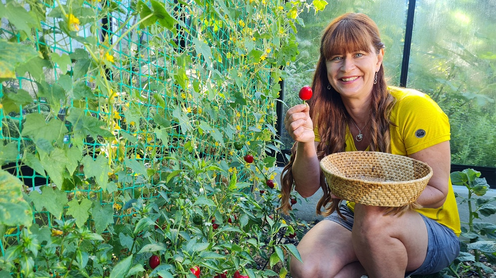 Sabrina Nitsche mit Kirschpaprika im Querbeet-Garten. | Bildquelle: Tobias Bode