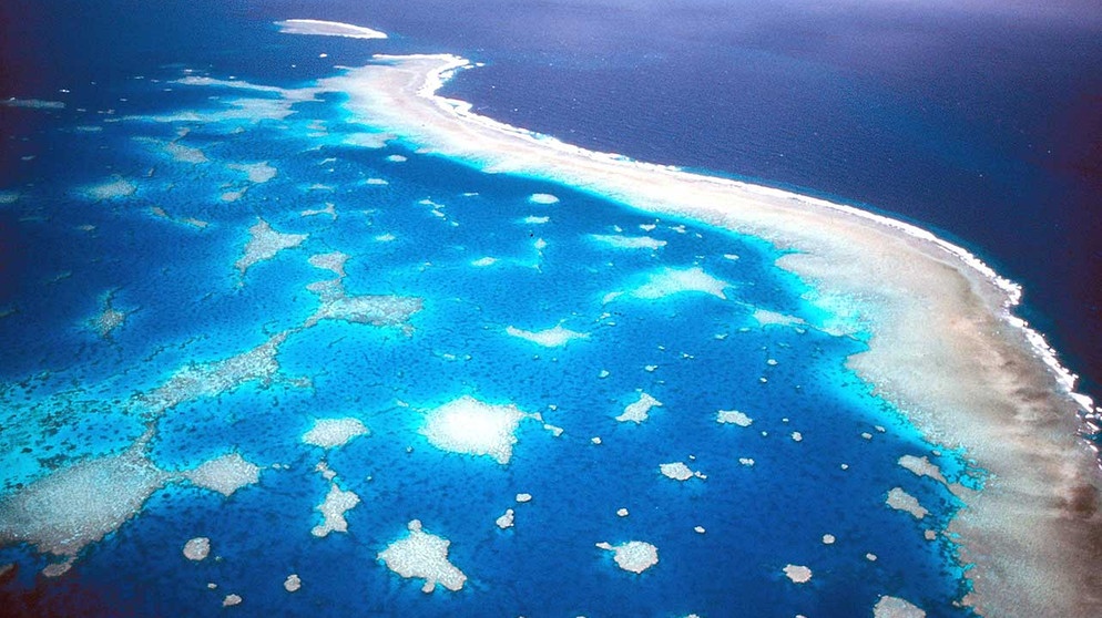 Great Barrier Reef  | Bildquelle: picture-alliance/dpa