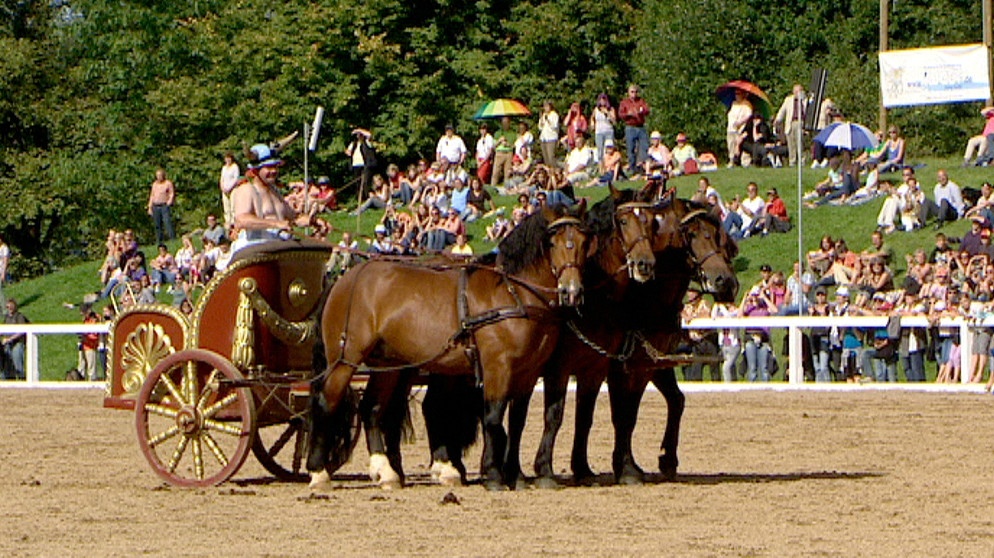 Ein Pferdesommer in Schwaiganger - Teil 5 Das große Finale | Bildquelle: BR