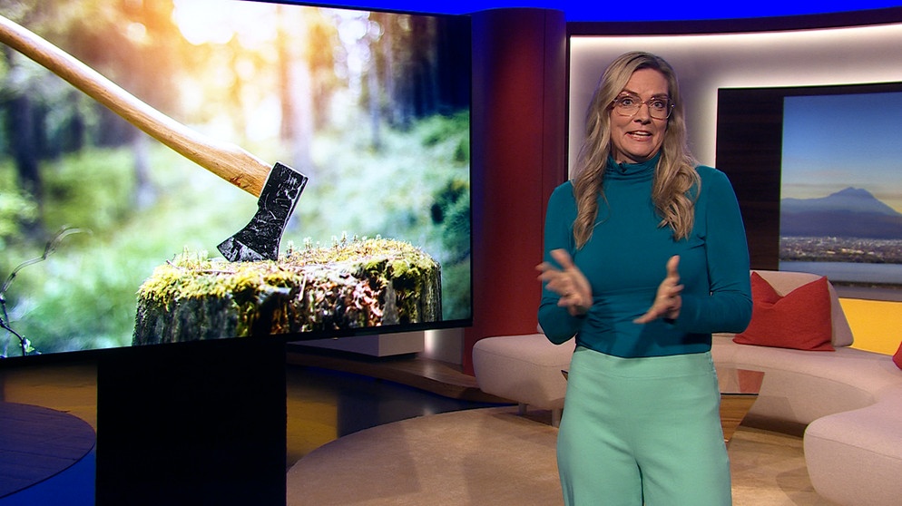 Julia Scharf | Bildquelle: BR