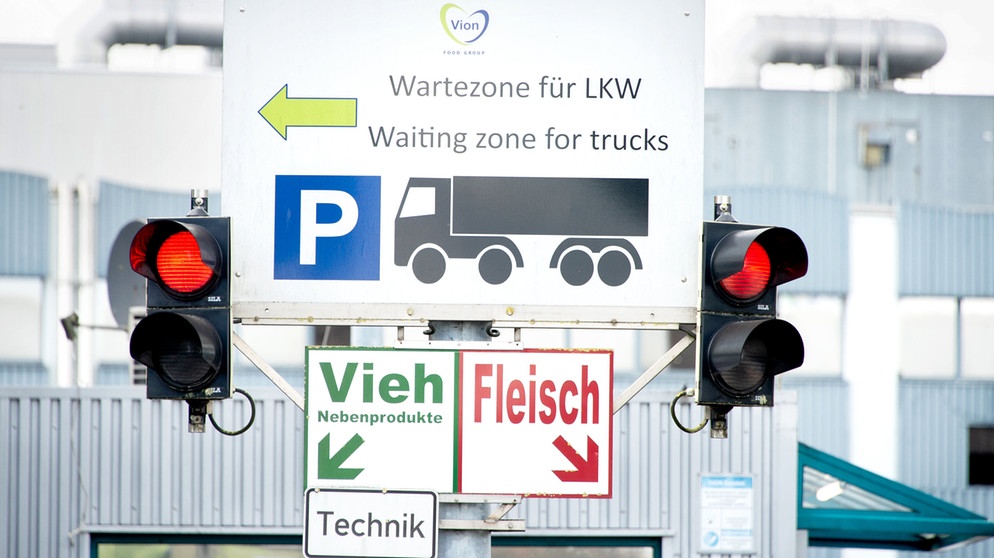 Ein Schild mit der Aufschrift ·Wartezone für Trucks· und zwei Ampeln hängen vor einer Zufahrt zu einem Schlachthof. | Bildquelle: dpa-Bildfunk/Hauke-Christian Dittrich