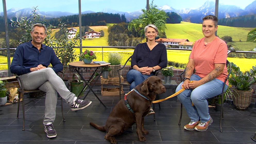 Michael Sporer mit Anja Petrick und Uli Meder. | Bildquelle: BR