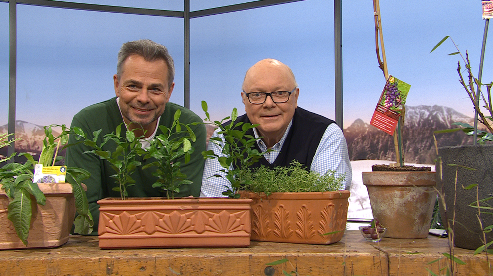 Michael Sporer und Andreas Modery | Bildquelle: BR