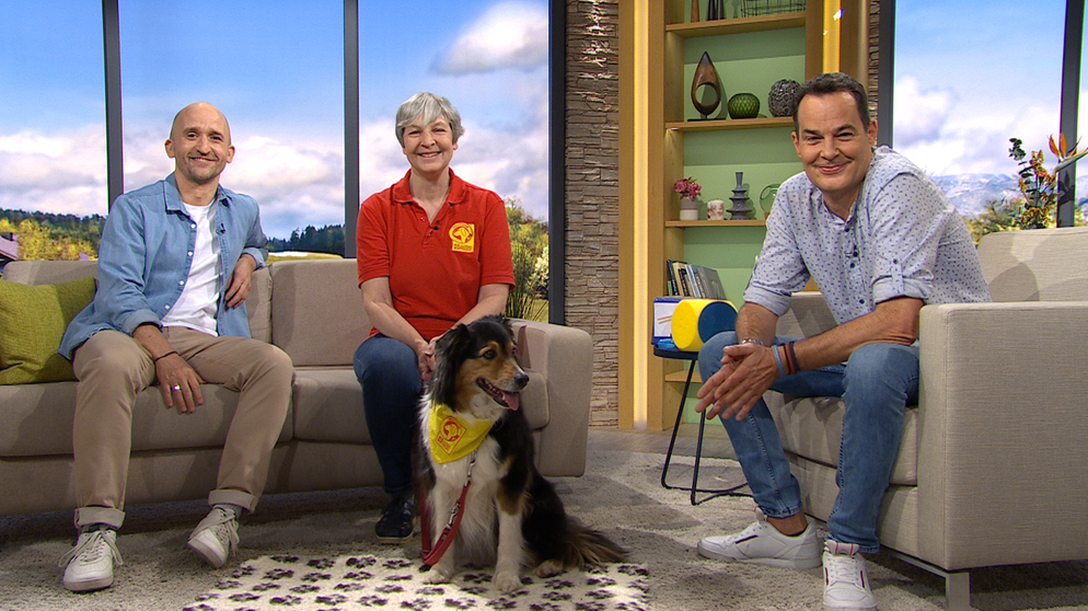 Markus Barth, Brigitte Höpp und Domink Pöll | Bildquelle: BR