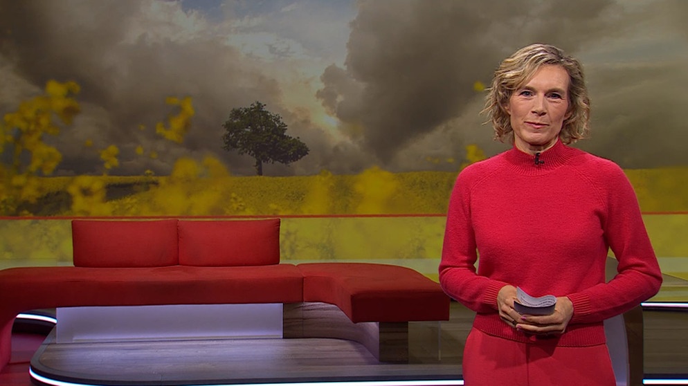 Julia Büchler moderiert die Frankenschau aktuell und präsentiert grade das Bild des Tages. | Bildquelle: BR