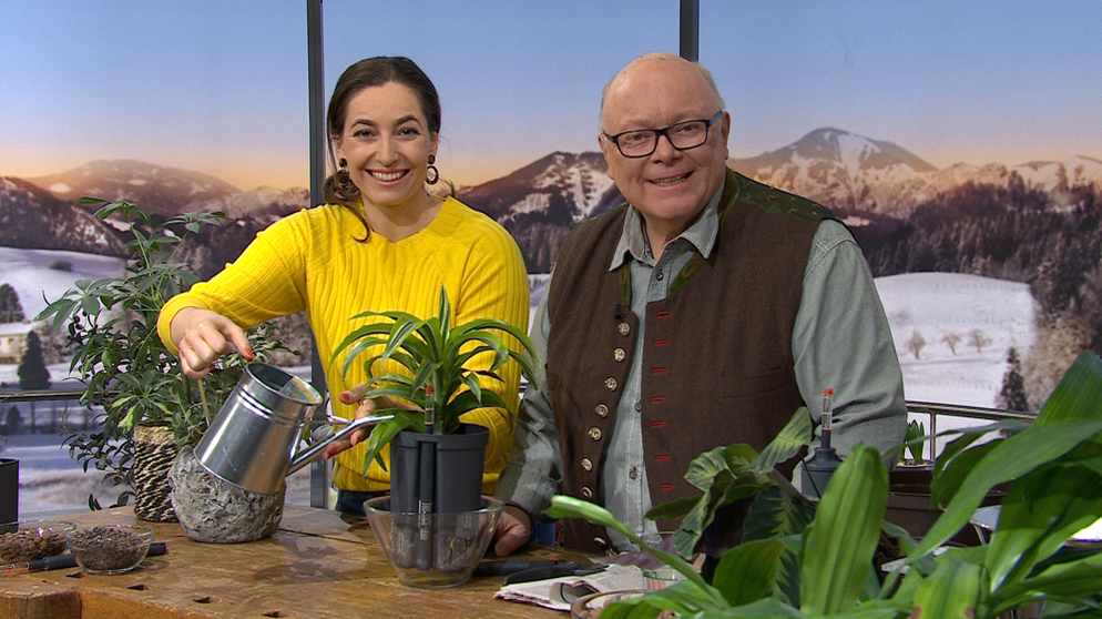 Sendung vom 08.02.2024: Moderatorin Andrea Lauterbach mit Andreas Modery | Bildquelle: BR