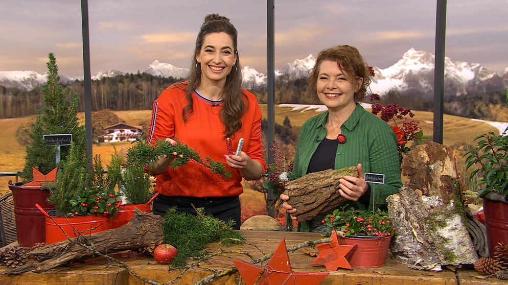 Sendung vom 21.11.2024: Moderatorin Andrea Lauterbach mit Gartenexpertin Brigitte Goss | Bildquelle: BR