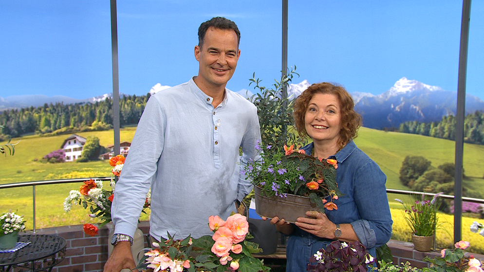 Moderator Dominik Pöll und Pflanzenexpertin Brigitte Goss | Bildquelle: Wir in Bayern