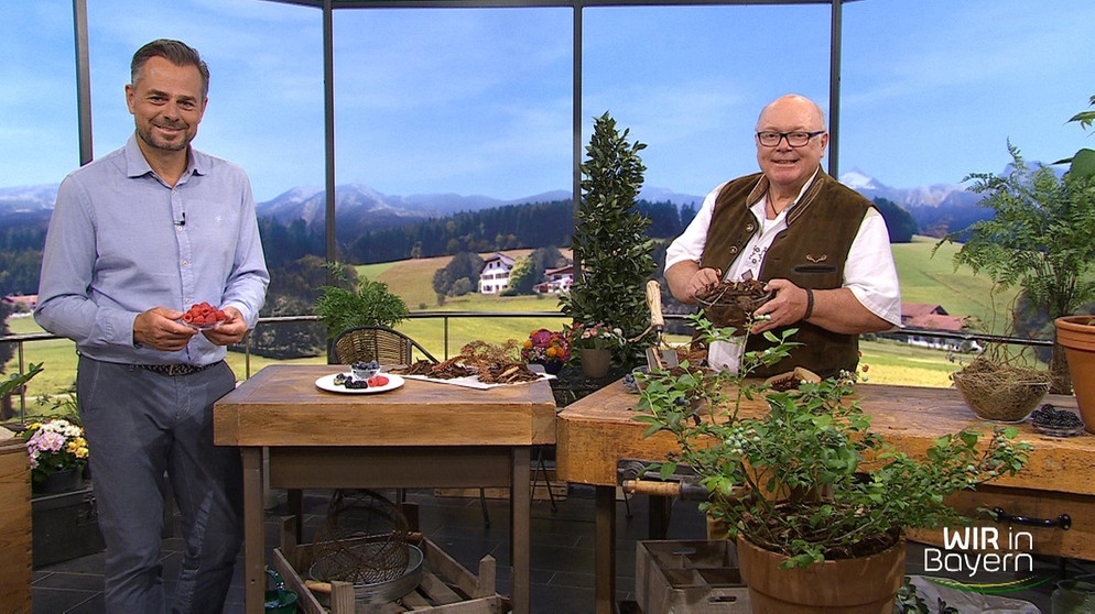 Sendung von 28.07.2021: Moderator Michael Sporer und Andreas Modery | Bildquelle: BR