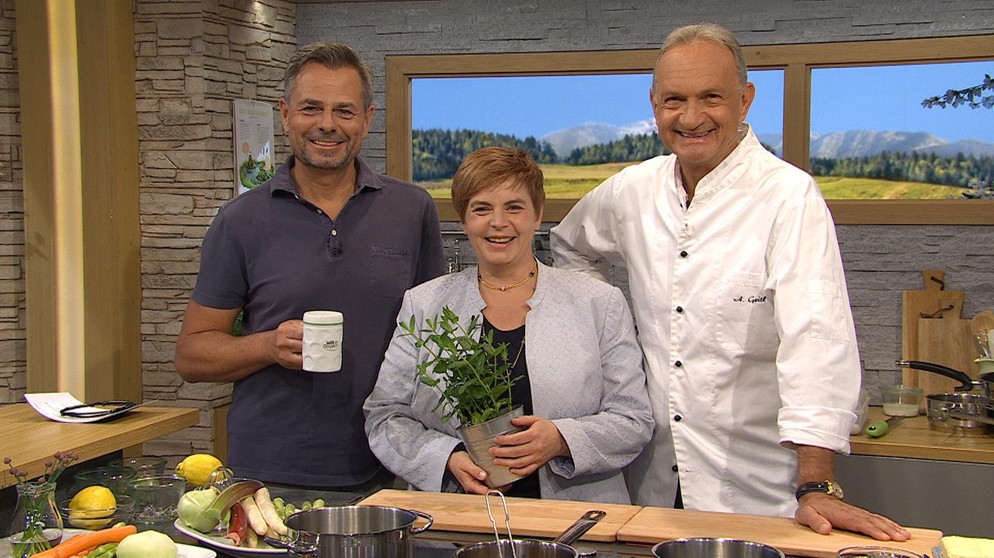 Sendung vom 18.05.2023:  Moderartor Michael Sporer mit Monika Engelmann und Andreas Geitl | Bildquelle: BR