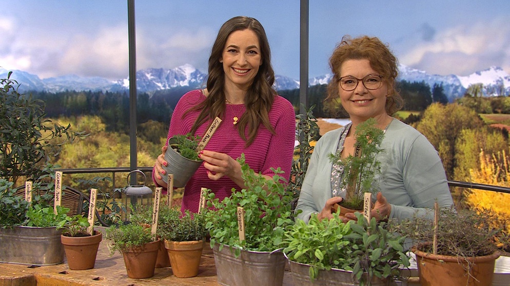 Moderatorin Andrea Lauterbach und Pflanzenexpertin Brigitte Goss | Bildquelle: Wir in Bayern