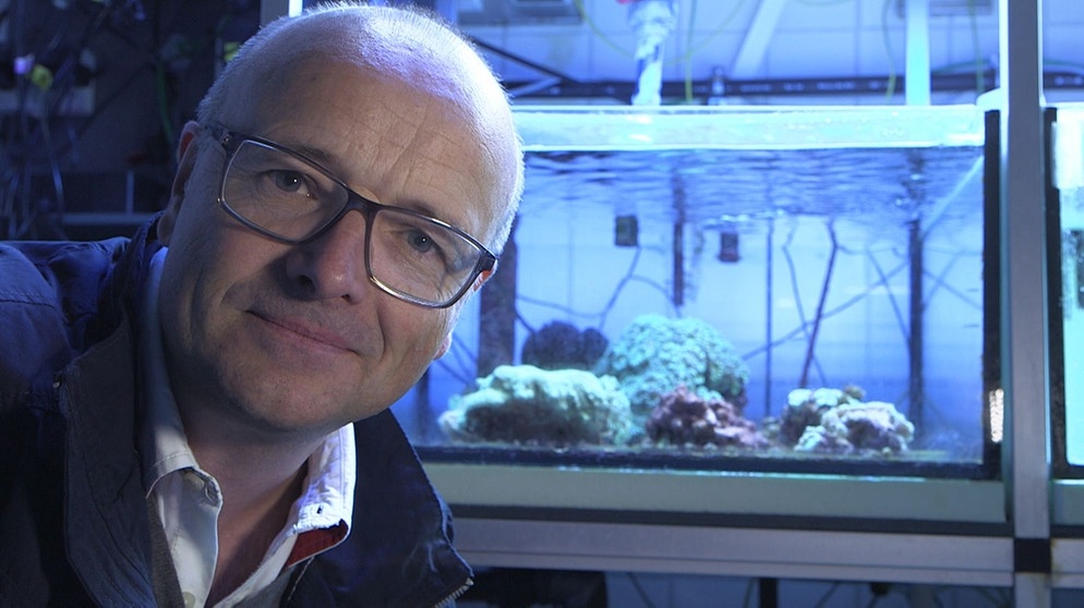 Am Alfred-Wegener-Institut für Polar- und Meeresforschung (AWI) in Bremerhaven besucht Karsten Schwanke die Aquarien der Korallenforscher. Eine bunte Südseewelt | Bildquelle: BR/Maximilian Schecker