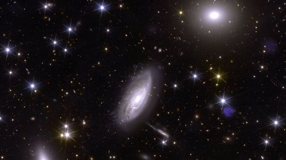 Eine von Euclids ersten Aufnahmen: der Perseus-Galaxienhaufen. (Zoom) | Bildquelle: ESA/Euclid/Euclid Consortium/NASA, image processing by J.-C. Cuillandre (CEA Paris-Saclay), G. Anselmi, CC BY-SA 3.0 IGO