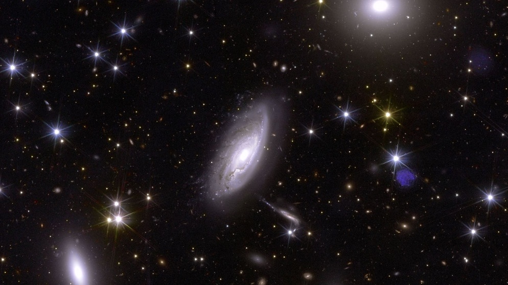 Der Perseus-Galaxienhaufen aufgenommen vom Weltraumteleskop Euclid. | Bildquelle: ESA/Euclid/Euclid Consortium/NASA/image processing by J.-C. Cuillandre (CEA Paris-Saclay)/G. Anselmi