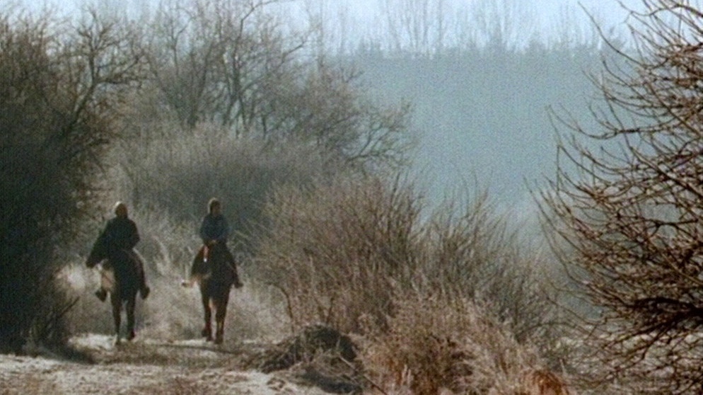 Aus dem Film "Ein Spaziergang durchs Moos" von Gerhard Ledebur, 1989 | Bildquelle: BR