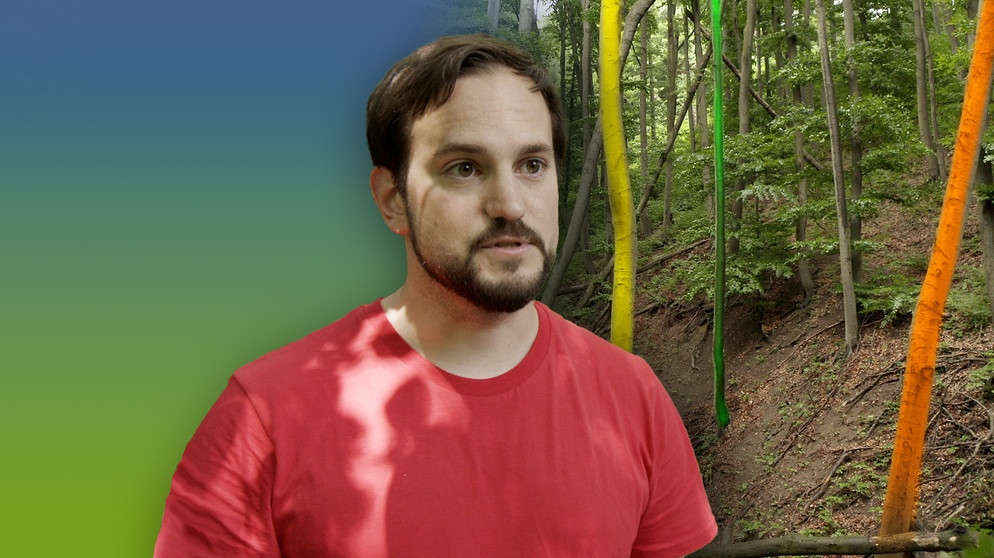 Biologe Arthur Pichler forscht im Wienerwald zur Artenvielfalt | Bildquelle: BR/Gut zu wissen