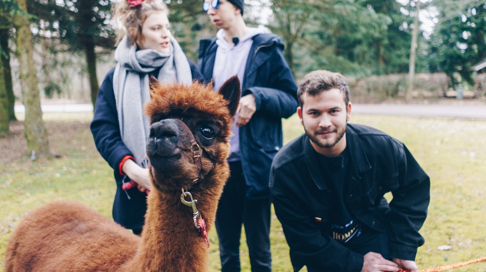 Blond mit Fridl & Alpaka - Foto von Ernesto Uhlmann | Bildquelle: Ernesto Uhlmann