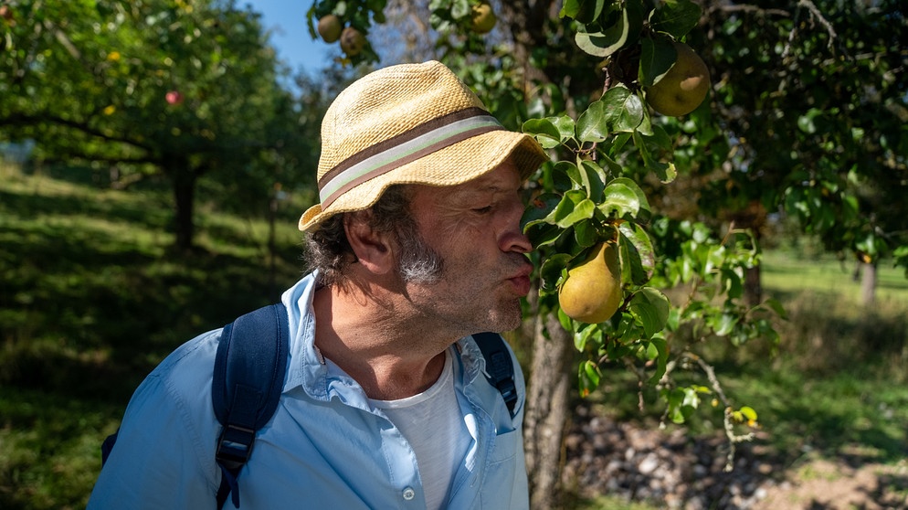 In und um Burgbernheim - hier dreht sich alles um Streuobst. Max und die große Birnenliebe. | Bildquelle: André Goerschel