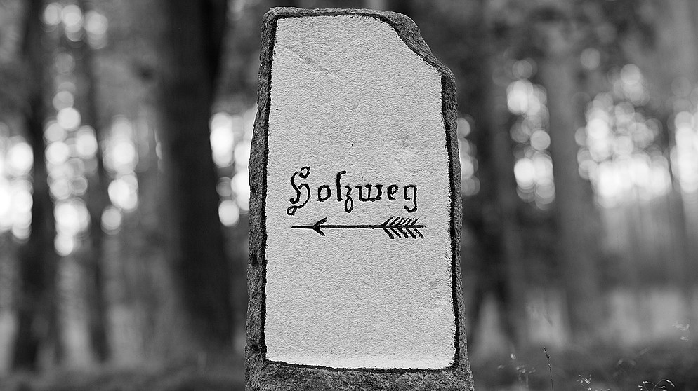 Symbolbild: Holzweg | Bildquelle: picture-alliance/dpa