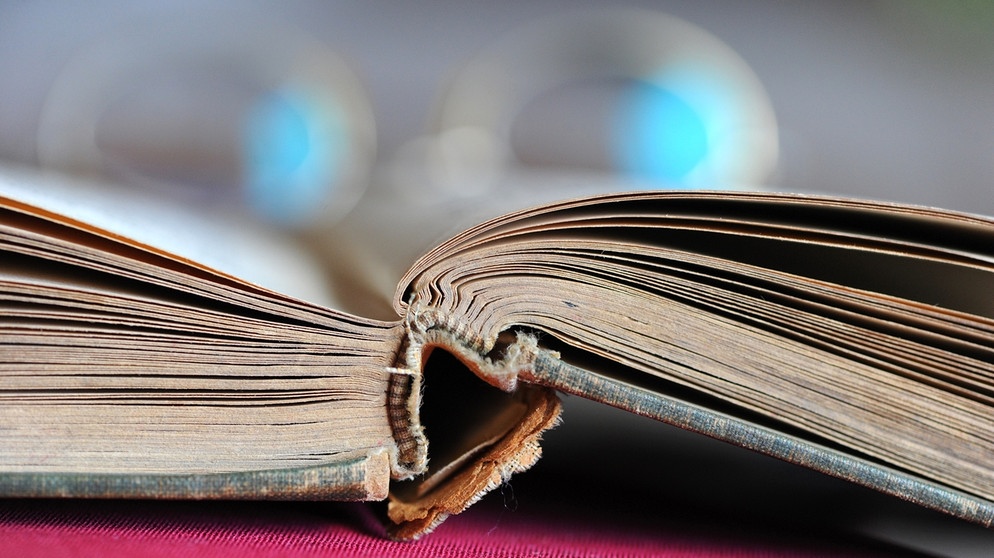 Aufgeschlagenes altes Buch (Symbolbild) | Bildquelle: picture-alliance/dpa