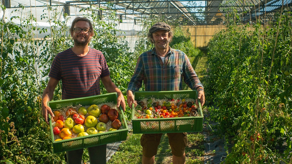 Schmidt Max und die Tomate | Bildquelle: André Goerschel