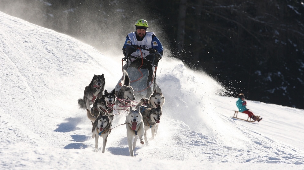 Mit Schlittenhunden durch die Alpen | Bildquelle: BR