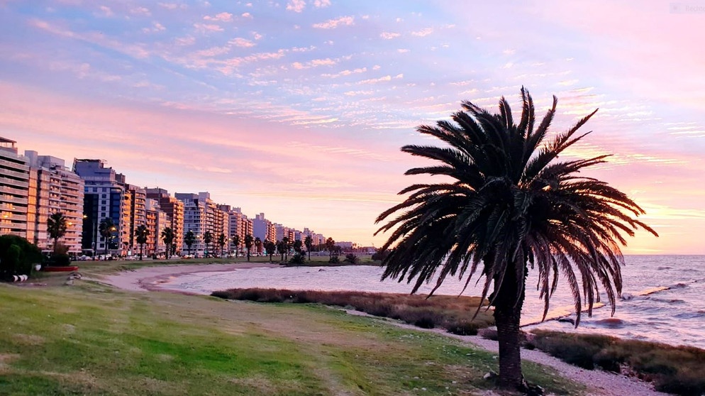 Das Leben in Montevideo wirkt wie in ganz Uruguay entspannt, und ist kaum vergleichbar mit dem Trubel anderer Metropolen. | Bildquelle: BR/Maximus Film GmbH/NDR/Sina Hutt