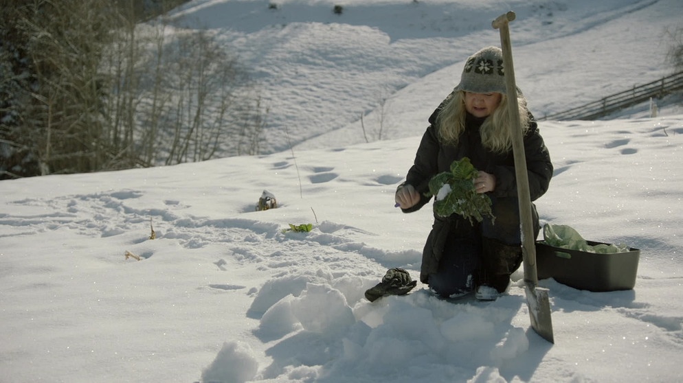 Gemüse ernten im Winter:  Tanja Westfall-Greiter erntet selbst bei Schnee einige Kohlsorten | Bildquelle: BR/Petra Schütz