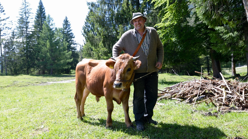Mit seinem Ochsen Lucki will Hubert Braun aus Garmisch einmal ein Gespann ziehen. | Bildquelle: BR