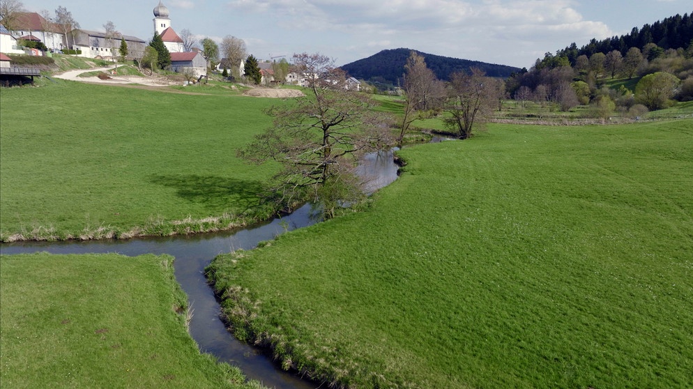 Die Schwarze Laber windet sich durch eine der schönsten Landschaften der Oberpfalz. Mit 77 Kilometern ist sie ein kleiner Fluss, der schließlich bei Sinzing in die Donau mündet. | Bildquelle: BR / Blue Paw Artists / Marion Pöllmann