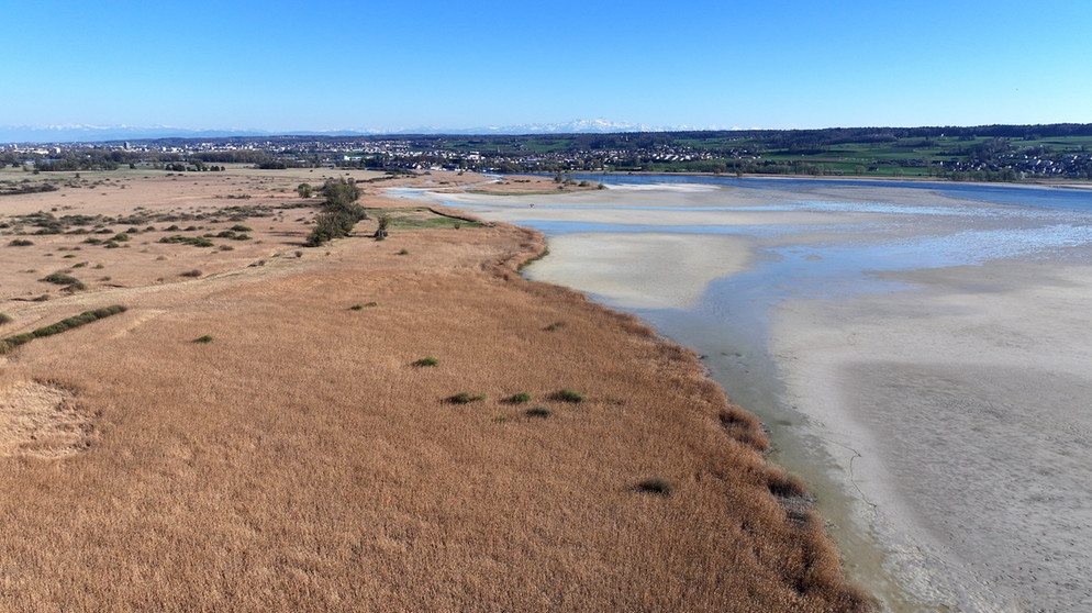 07.04.2025, Baden-Württemberg, Insel Reichenau Im Bodensee: Der Wasserstand des Bodensees ist auf einem niedrigen Stand. Rund um die Insel Reichenau wird das deutlich, hier beim Wollmatinger Ried (Aufnahme mit Drohne). (zu dpa: «So wirkt sich das Bodensee-Niedrigwasser aus») Foto: Felix Kästle/dpa +++ dpa-Bildfunk +++ | Bildquelle: dpa-Bildfunk/Felix Kästle