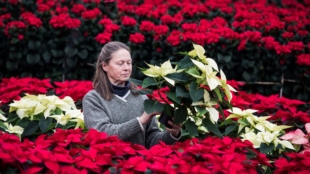 verschiedene Farben zeigt Frau | Bildquelle: Picture alliance/dpa
