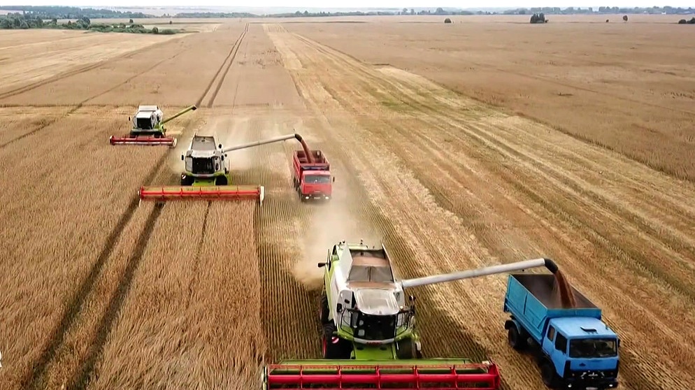 Ernten auf russischen Riesenfeldern | Bildquelle: Bayerischer Rundfunk