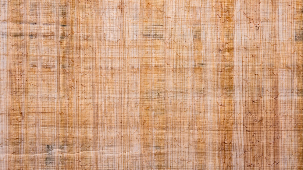 Papyrus Material
close view on fresh crab claves on ice cubes
picture alliance / Zoonar | marcin jucha
| Bildquelle: picture alliance / Madhourse/Shotshop | Madhourse