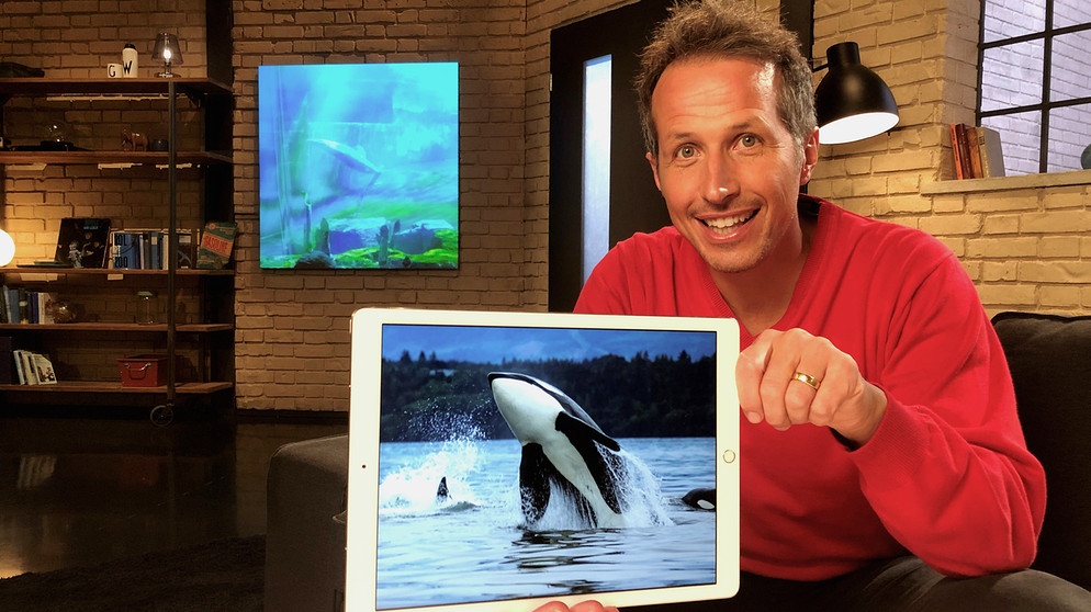 Willi Weitzel hält Tablet in der Hand mit einem Orca-Bild.  | Bildquelle: BR