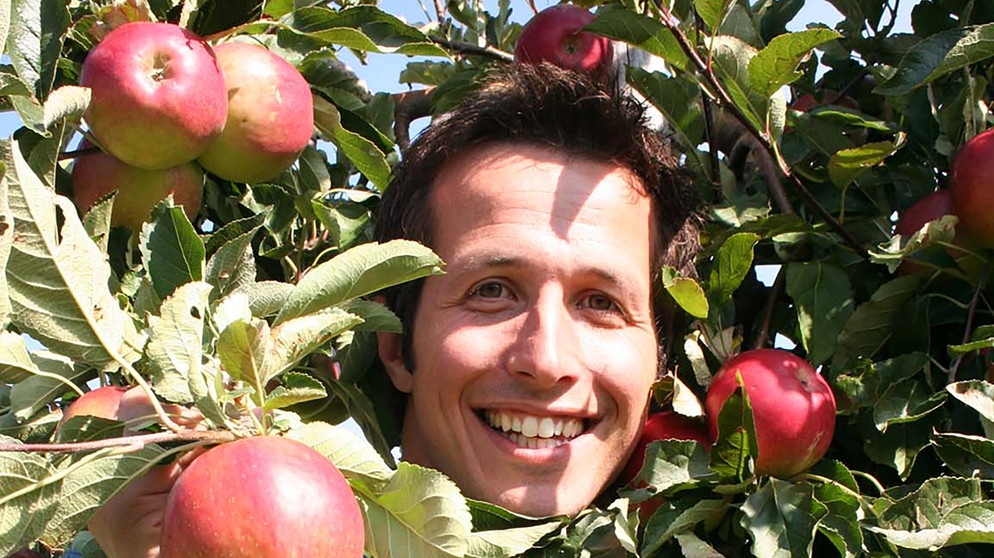 Wer pflückt die Äpfel von den Bäumen? / Willi bei der Apfelernte am Bodensee | Bildquelle: BR / megaherz GmbH