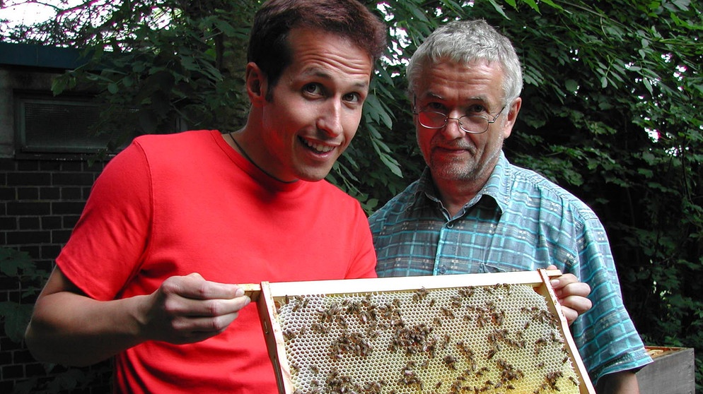 Wovon schwärmt der Bienenschwarm? / Willi und Dr. Gerhard Liebig | Bildquelle: BR / megaherz GmbH