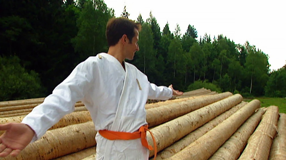 Wer vermöbelt den Wald? / Willi Weitzel im Karate-Anzug vor gefällten Bäumen für Möbelholz | Bildquelle: BR 