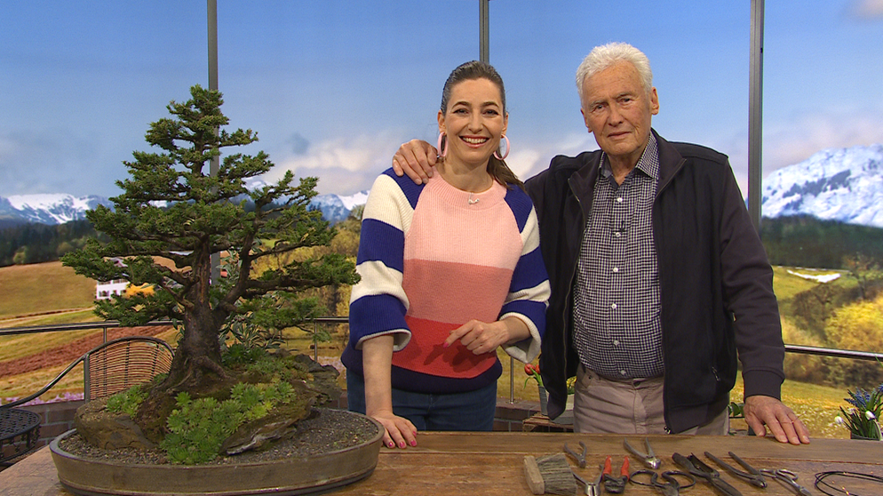 Moderatorin Andrea Lauterbach und Bonsai-Experte Walter Pall | Bildquelle: BR